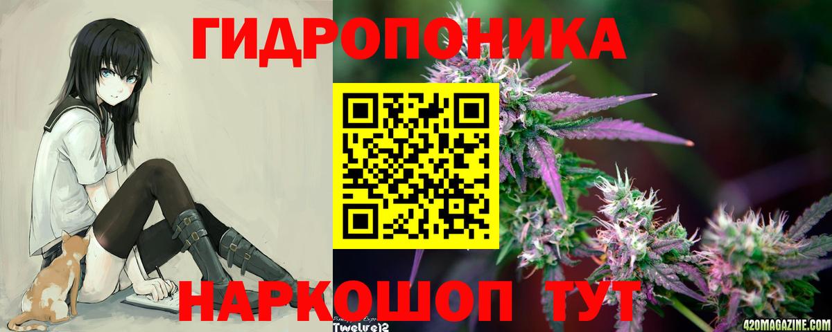 Юрга  Конопля сатива  МАРИХУАНА план  Вход с VPN  Бошки марихуана MAZAR 